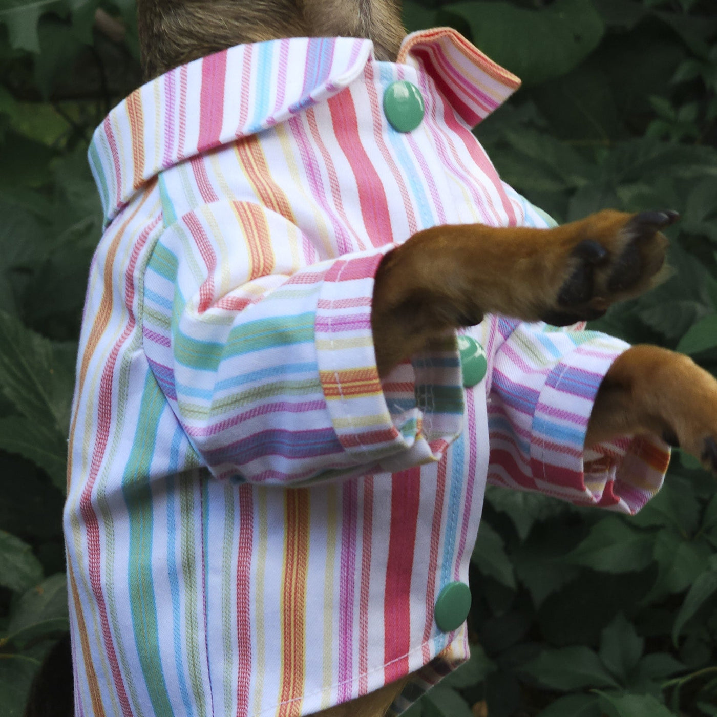 Cotton multi stripes