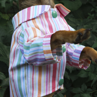 Cotton multi stripes