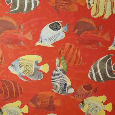 Chiffon fabric - Fish