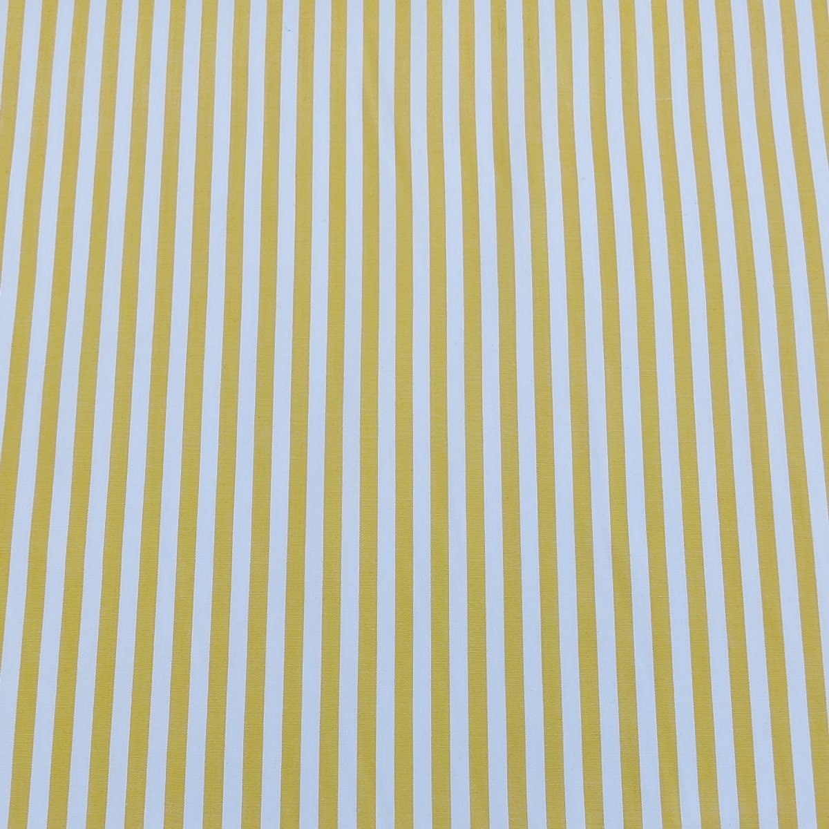 Yarn Dyed Cotton | Yellow Stripes
